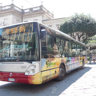 Il "To Nite bus" fa record di movida: quasi 1300 i passeggeri in un mese