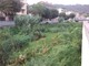 I torrenti "sorvegliati speciali" in vista dell'allerta (FOTO) I torrenti "sorvegliati speciali" in vista dell'allerta (FOTO)