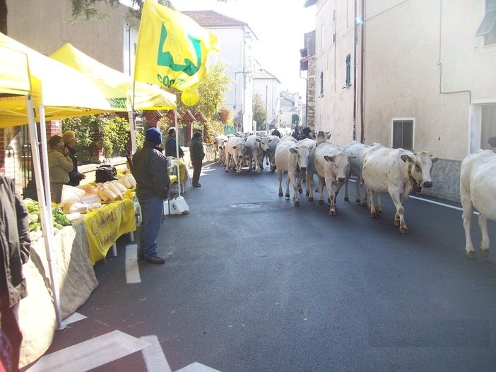 Bardineto: domenica la festa della transumanza d'autunno