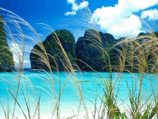 Savona: i fratelli Damasio rientrano dalla Thailandia l'11 ottobre