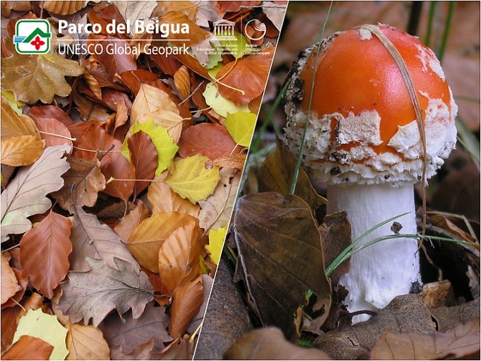 Sfumature autunnali per il fototrekking nel Parco del Beigua