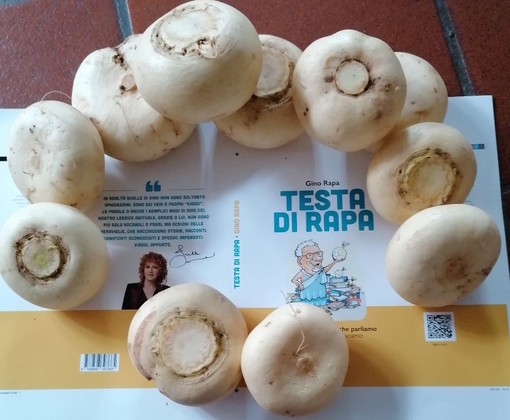 Albenga, ecco "Testa di Rapa": domenica 28 novembre la presentazione del libro