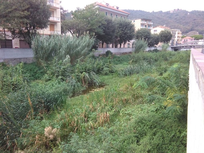 I torrenti "sorvegliati speciali" in vista dell'allerta (FOTO) I torrenti "sorvegliati speciali" in vista dell'allerta (FOTO)