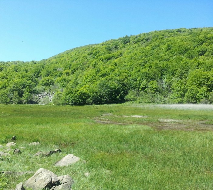 Parco del Beigua: al via un nuovo progetto di miglioramento dello stato di conservazione delle zone umide dell’area protetta