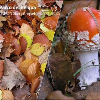 Sfumature autunnali per il fototrekking nel Parco del Beigua