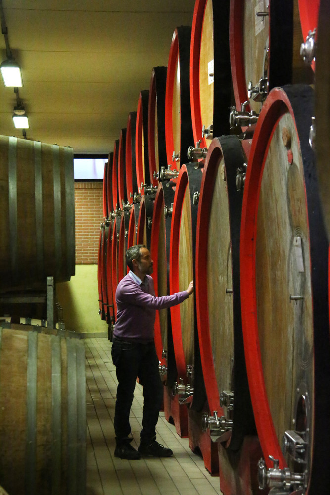 Per la cantina Terre del Barolo un autunno importante tra vendemmia e lavori a nuova cantina e enoteca