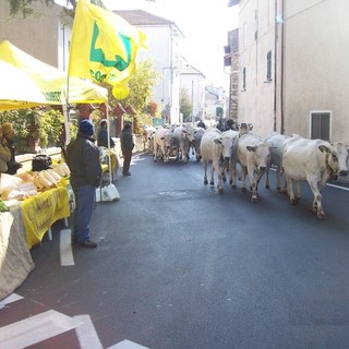 A Bardineto torna la “7° Edizione della Festa della Transumanza D'Autunno"
