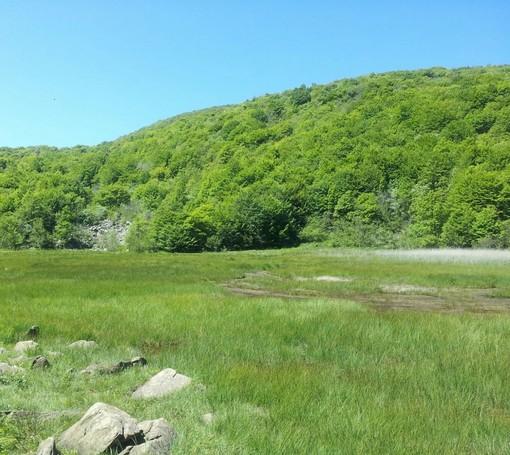 Parco del Beigua: al via un nuovo progetto di miglioramento dello stato di conservazione delle zone umide dell’area protetta