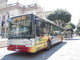Il "To Nite bus" fa record di movida: quasi 1300 i passeggeri in un mese Il "To Nite bus" fa record di movida: quasi 1300 i passeggeri in un mese