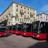 Tpl, bilancio estivo: evasione del 13%, aumentano le sanzioni rispetto al 2023 Tpl, bilancio estivo: evasione del 13%, aumentano le sanzioni rispetto al 2023