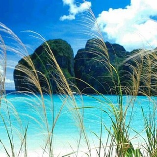 Savona: i fratelli Damasio rientrano dalla Thailandia l'11 ottobre