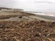 Albissola, spiagge invase dal legname dopo la pioggia del weekend (FOTO)