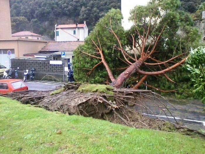 “Bufera di Natale”, emanato lo stato di allerta 2: il vento di burrasca ha raggiunto in Provincia di Savona i 100 km/h