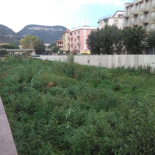 Finale gioca d'anticipo in prevenzione: ordinanza per procedere al taglio della vegetazione negli alvei