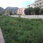 Finale gioca d'anticipo in prevenzione: ordinanza per procedere al taglio della vegetazione negli alvei