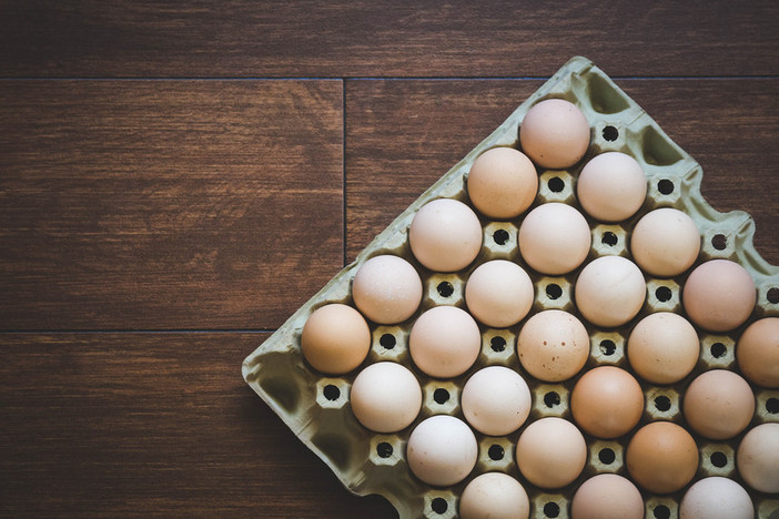 Bloccata produzione e commercializzazione uova di un allevamento savonese, Asl 2: "Quantità Fipronil molto al di sotto della soglia di tossicità"