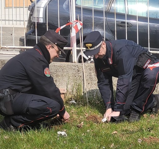 Carcare, i carabinieri forestali spiegano la forestazione ai bambini dell'Istituto Comprensivo (FOTO) Carcare, i carabinieri forestali spiegano la forestazione ai bambini dell'Istituto Comprensivo (FOTO)