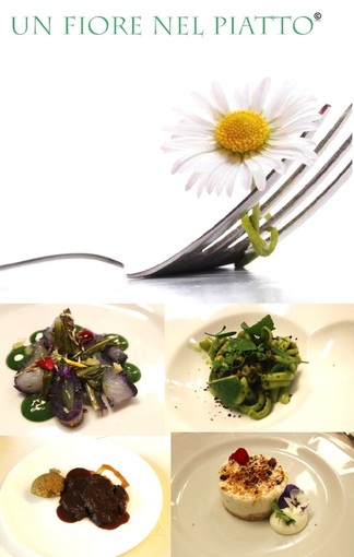 Le ricette vincitrici del concorso "Un fiore nel piatto". Un menù sorprendente, dove i fiori sono protagonisti di un viaggio sensoriale raffinato e autentico Le ricette vincitrici del concorso "Un fiore nel piatto". Un menù sorprendente, dove i fiori sono protagonisti di un viaggio sensoriale raffinato e autentico