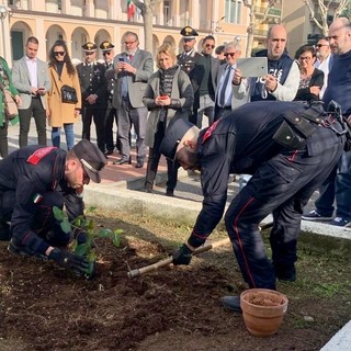 Loano, piantato nel giardino del "Falcone" l'albero dedicato al giudice antimafia (FOTO)