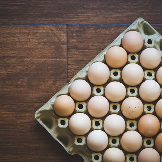 Bloccata produzione e commercializzazione uova di un allevamento savonese, Asl 2: "Quantità Fipronil molto al di sotto della soglia di tossicità"