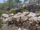 Una postazione antiaerea della Seconda Guerra Mondiale rinvenuta sulle alture di Varazze (FOTO e VIDEO)