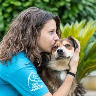 Parte la campagna LNDC Animal Protection "Un inverno senza gabbie" per l’adozione dei cani nei rifugi di Savona e della Val Bormida Parte la campagna LNDC Animal Protection "Un inverno senza gabbie" per l’adozione dei cani nei rifugi di Savona e della Val Bormida