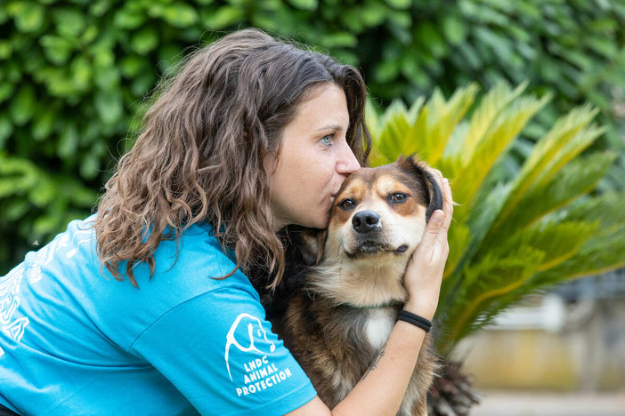 Parte la campagna LNDC Animal Protection "Un inverno senza gabbie" per l’adozione dei cani nei rifugi di Savona e della Val Bormida Parte la campagna LNDC Animal Protection "Un inverno senza gabbie" per l’adozione dei cani nei rifugi di Savona e della Val Bormida