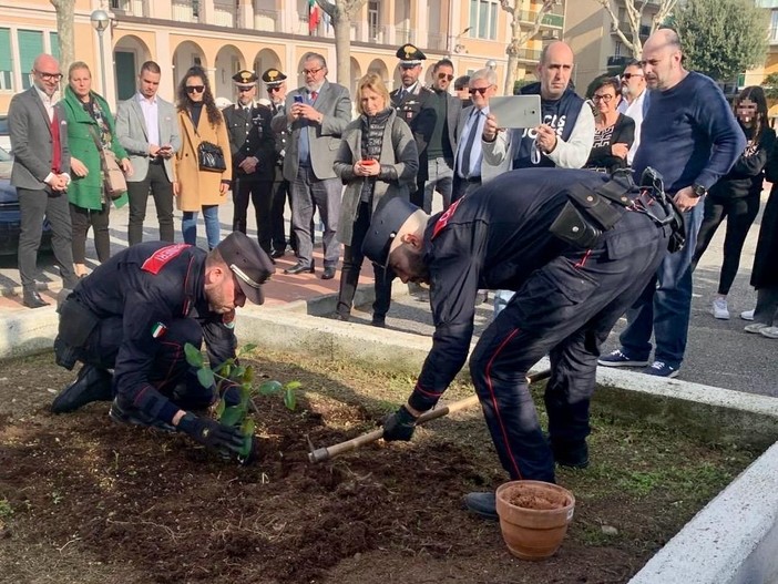 Loano, piantato nel giardino del "Falcone" l'albero dedicato al giudice antimafia (FOTO)