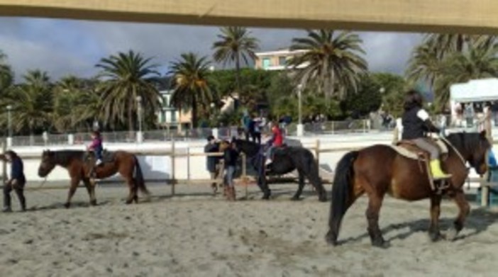 Varazze, maneggio in riva al mare (e non si tratta di lavori pubblici) Varazze, maneggio in riva al mare (e non si tratta di lavori pubblici)