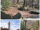 Varazze, solstizio d’estate sulla strada megalitica con gli Amici del Museo Archeologico di Alpicella Varazze, solstizio d’estate sulla strada megalitica con gli Amici del Museo Archeologico di Alpicella