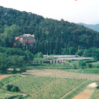 Andora, approvato in Consiglio il P.U.O. di Stampino con le modifiche volute dalla Regione