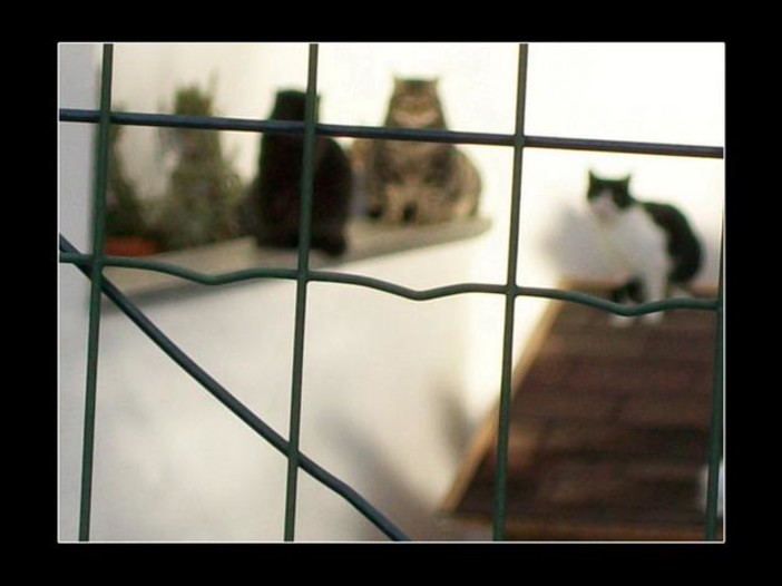 Sassello: domani esposizione del Gruppo Fotografico Redancia