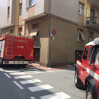 I vigili del fuoco impegnati a stanare nidi di calabroni ad Albisola e Celle