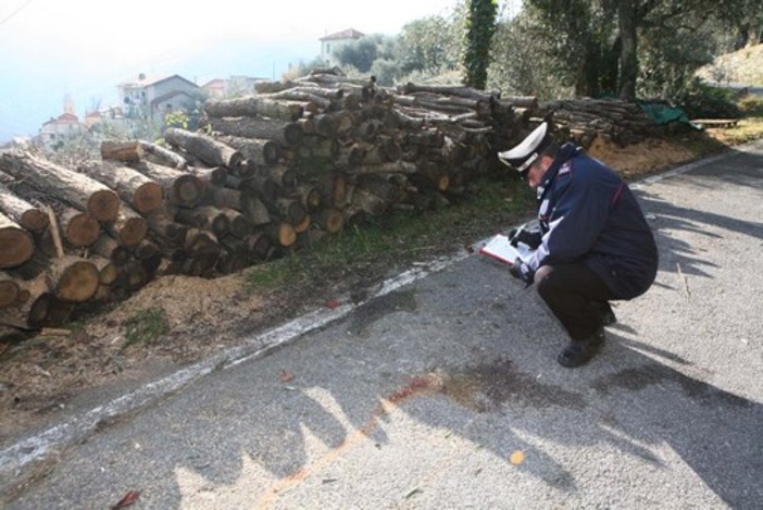 La foto è di Silvio Fasano La foto è di Silvio Fasano