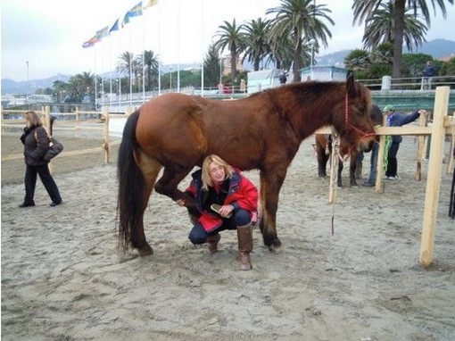 Grazia e il suo cavallo Grazia e il suo cavallo