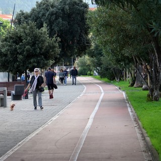 Prosegue a Vado Ligure la manutenzione del verde pubblico: parco Robinson chiuso fino a venerdì