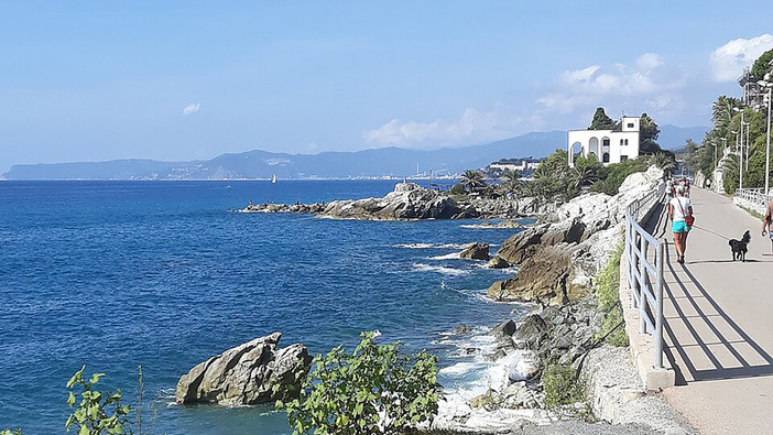 Foto tratta da Wikipedia