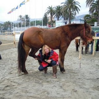 Grazia e il suo cavallo