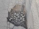 Albenga, Tomatis (FdI): "Pericolo in Viale Martiri della Foce, strada ammalorata da anni, l'amministrazione comunale ha il paraocchi" Albenga, Tomatis (FdI): "Pericolo in Viale Martiri della Foce, strada ammalorata da anni, l'amministrazione comunale ha il paraocchi"