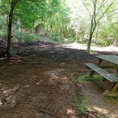 Ceriale, prende forma il “Bosco Incantato”: sinergia tra scuola, ambiente e territorio per valorizzare la Valle Ibà Ceriale, prende forma il “Bosco Incantato”: sinergia tra scuola, ambiente e territorio per valorizzare la Valle Ibà