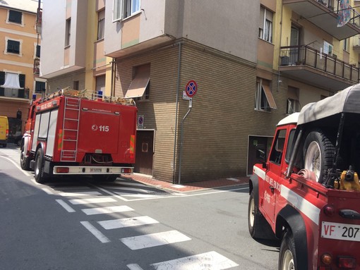 I vigili del fuoco impegnati a stanare nidi di calabroni ad Albisola e Celle I vigili del fuoco impegnati a stanare nidi di calabroni ad Albisola e Celle