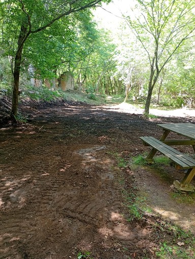 Ceriale, prende forma il “Bosco Incantato”: sinergia tra scuola, ambiente e territorio per valorizzare la Valle Ibà Ceriale, prende forma il “Bosco Incantato”: sinergia tra scuola, ambiente e territorio per valorizzare la Valle Ibà