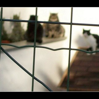 Sassello: domani esposizione del Gruppo Fotografico Redancia