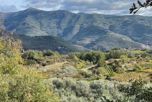 Green community, Valle Impero e Valle Arroscia unite per un progetto di sviluppo sostenibile Green community, Valle Impero e Valle Arroscia unite per un progetto di sviluppo sostenibile