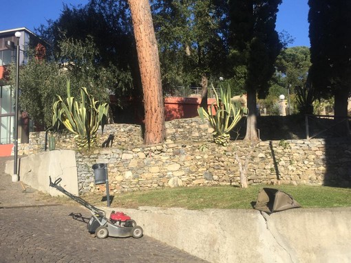 Alassio interviene sul verde pubblico (FOTO)