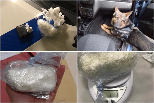 Albenga, blitz della polizia locale: sequestrati 124 grammi di cocaina in pietra dal grosso valore economico