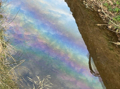 Albenga, sversamento di gasolio nel rio Carenda, il sindaco: &quot;Intervenuti in tempo per contenere il pericolo&quot;