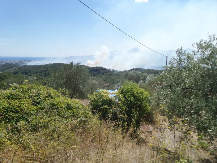 Incendi, l'allarme di Coldiretti: "5 grandi roghi ogni giorno dall’inizio dell’estate"