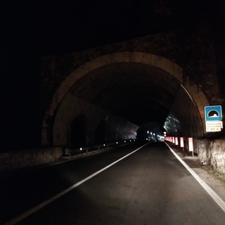 Finale, disagi al traffico sulla via Aurelia dopo la caduta di una pianta sulla carreggiata