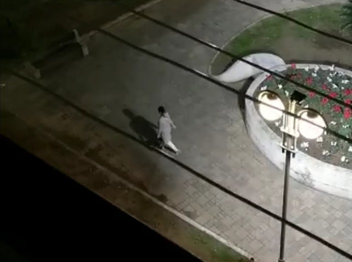Borghetto, chiuso il caso del ciclamino rubato: colpevole sanzionata (per errato conferimento rifiuti) e sensibilizzata all'acquisto di una nuova pianta Borghetto, chiuso il caso del ciclamino rubato: colpevole sanzionata (per errato conferimento rifiuti) e sensibilizzata all'acquisto di una nuova pianta